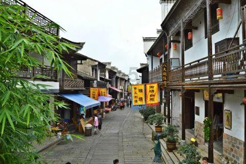 动物拼一拼