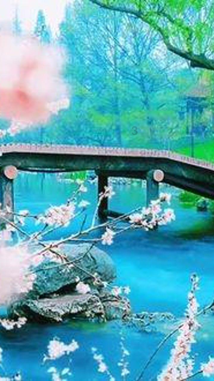 网络公司逃脱